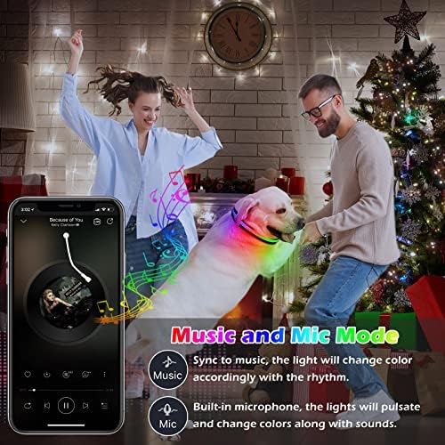 Mutovlin Светлина Нашийник за кучета, Bluetooth приложение, Няколко цвята на RGB, Led Нашийник за Кучета, USB, Акумулаторна батерия Водоустойчив Нашийник за кучета, Лампа за нощен Сигурност