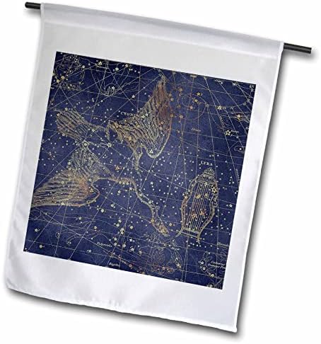 Триизмерна реколта карта звезди. Съзвездието Лебед и знамена Лири (fl_353939_1)
